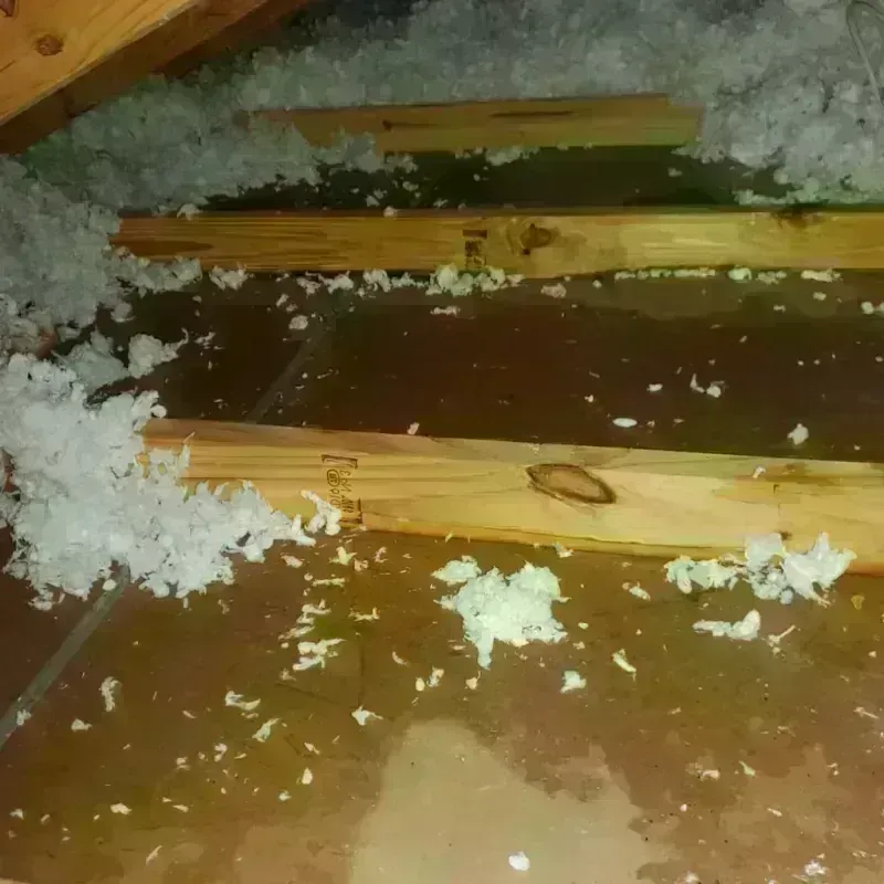 Attic Water Damage in Kenwood, CA