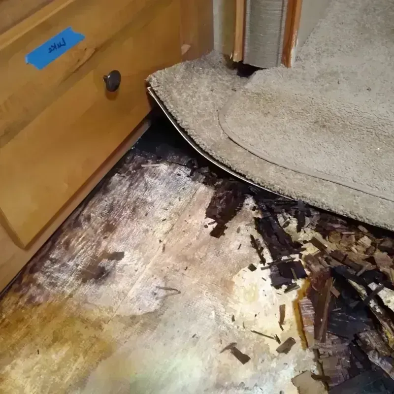 Wood Floor Water Damage in Kenwood, CA